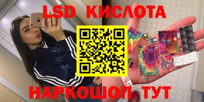 ПСИЛОЦИБИНОВЫЕ ГРИБЫ Вышний Волочёк