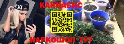 прущая мука Вязьма