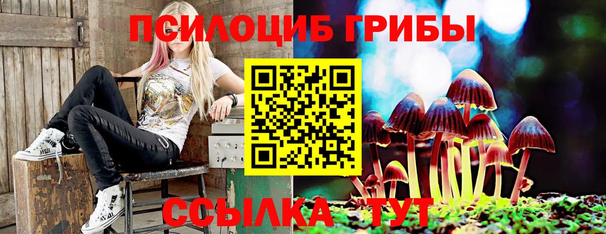 Галлюциногенные грибы Magic Shrooms  Вход с VPN  Ефремов  Галлюциногенные грибы мицелий 
