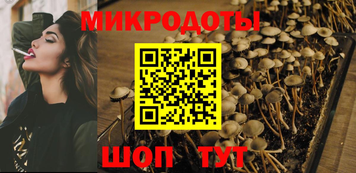 Псилоцибиновые грибы MAGIC MUSHROOMS Ефремов